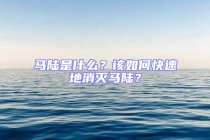 馬陸是什么？該如何快速地消滅馬陸？
