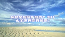 蟑螂是如何擴散的？為什么全世界都有蟑螂？