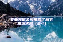 專業(yè)滅鼠公司帶您了解下水道滅鼠（2-1）