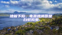 地板下陷、電源跳閘原是白蟻搗鬼