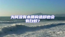 為何沒有木質(zhì)構(gòu)造卻也會有白蟻？