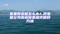 家里有老鼠怎么辦？滅老鼠公司告訴你家庭滅鼠好方法