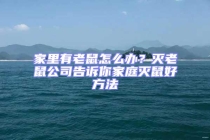 家里有老鼠怎么辦？滅老鼠公司告訴你家庭滅鼠好方法