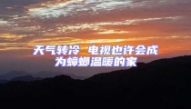 天氣轉(zhuǎn)冷 電視也許會成為蟑螂溫暖的家