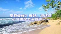 沒有蚊蠅？很好，但這些小飛蟲是怎么回事……