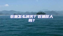 衣魚怎么消滅？衣魚咬人嗎？