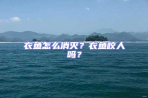 衣魚怎么消滅？衣魚咬人嗎？