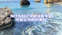 為什么自己滅鼠沒有專業(yè)滅鼠公司的效果好