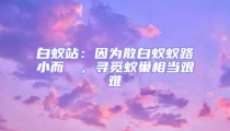 白蟻站：因?yàn)樯紫佅伮沸《]骳，尋覓蟻巢相當(dāng)艱難
