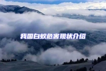 我國白蟻危害現(xiàn)狀介紹