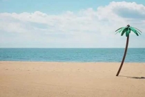 深圳白蟻防治：預(yù)防為主、防治結(jié)合、綜合治理