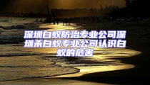 深圳白蟻防治專業(yè)公司深圳殺白蟻專業(yè)公司認(rèn)識(shí)白蟻的危害