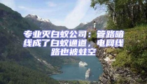 專業(yè)滅白蟻公司：管路暗線成了白蟻通道，電網(wǎng)線路也被蛀空