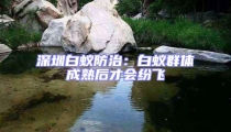 深圳白蟻防治：白蟻群體成熟后才會(huì)紛飛