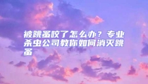 被跳蚤咬了怎么辦？專業(yè)殺蟲公司教你如何消滅跳蚤