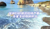 深圳白蟻增多蟻情嚴(yán)重 專家支招如何防治