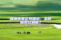 深圳殺蟲(chóng)公司提示：怎樣消滅紅螞蟻？