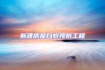 新建房屋白蟻預(yù)防工程