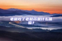 老鼠吃了老鼠藥是什么體驗(yàn)？