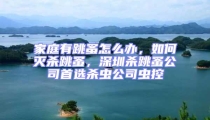 家庭有跳蚤怎么辦，如何滅殺跳蚤，深圳殺跳蚤公司首選殺蟲公司蟲控