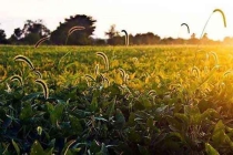 廣東省有害生物防制協(xié)會號召援汕頭市抗洪救災(zāi)工作的號召