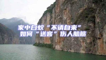家中白蟻“不請(qǐng)自來” 如何“送客”傷人腦筋