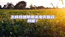怎樣合理使用殺蟲(chóng)滅鼠藥劑呢？
