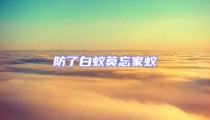 防了白蟻莫忘家蟻