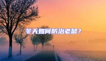 冬天如何防治老鼠？