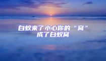 白蟻來(lái)了小心你的“窩”成了白蟻窩