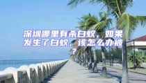 深圳哪里有殺白蟻，如果發(fā)生了白蟻，該怎么辦被？