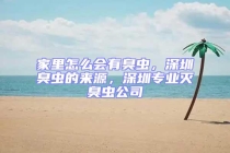 家里怎么會(huì)有臭蟲(chóng)，深圳臭蟲(chóng)的來(lái)源，深圳專業(yè)滅臭蟲(chóng)公司