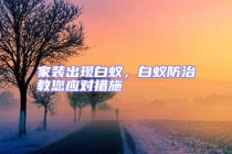 家裝出現(xiàn)白蟻，白蟻防治教您應(yīng)對(duì)措施
