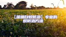 【深圳白蟻防治】專業(yè)的蟻防治方法