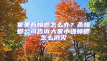 家里有蟑螂怎么辦？殺蟑螂公司告訴大家小強(qiáng)蟑螂怎么消滅