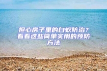 擔(dān)心房子里的白蟻防治？看看這些簡(jiǎn)單實(shí)用的預(yù)防方法