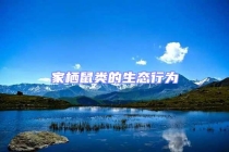 家棲鼠類(lèi)的生態(tài)行為