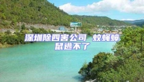 深圳除四害公司 蚊蠅蟑鼠逃不了