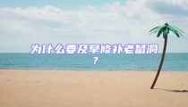 為什么要及早修補(bǔ)老鼠洞？