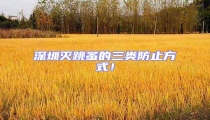 深圳滅跳蚤的三類防止方式！