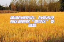 深圳白蟻防治：白蟻出沒林區(qū)是白蟻“重災區(qū)”要留意