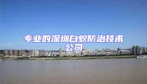 專業(yè)的深圳白蟻防治技術(shù)公司