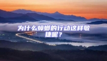 為什么蟑螂的行動這樣敏捷呢？