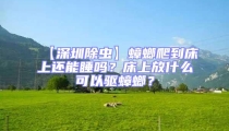 【深圳除蟲】蟑螂爬到床上還能睡嗎？床上放什么可以驅蟑螂？