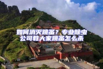 如何消滅跳蚤？專業(yè)除蟲公司教大家跳蚤怎么殺