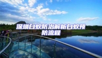 深圳白蟻防治解析白蟻預(yù)防流程