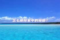 怎么根除家中的蟑螂？