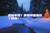 皮膚不好？你有可能是長了螨蟲！