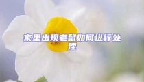 家里出現(xiàn)老鼠如何進行處理