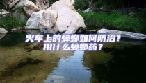 火車上的蟑螂如何防治？用什么蟑螂藥？